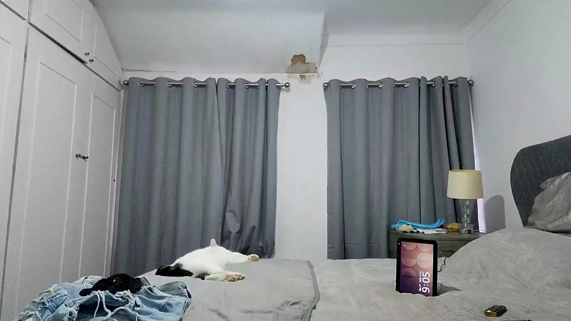 Gallery image thumbnail from RiaMartinez's myfreecams stream on, 07/09/2025, 20:08 image 15 of 20