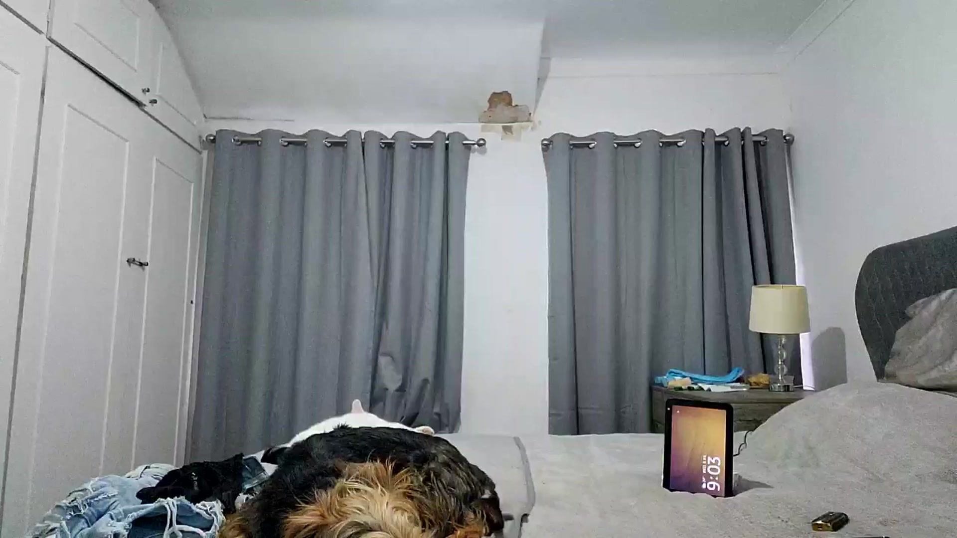 Gallery image thumbnail from RiaMartinez's myfreecams stream on, 07/09/2025, 20:08 image 5 of 20