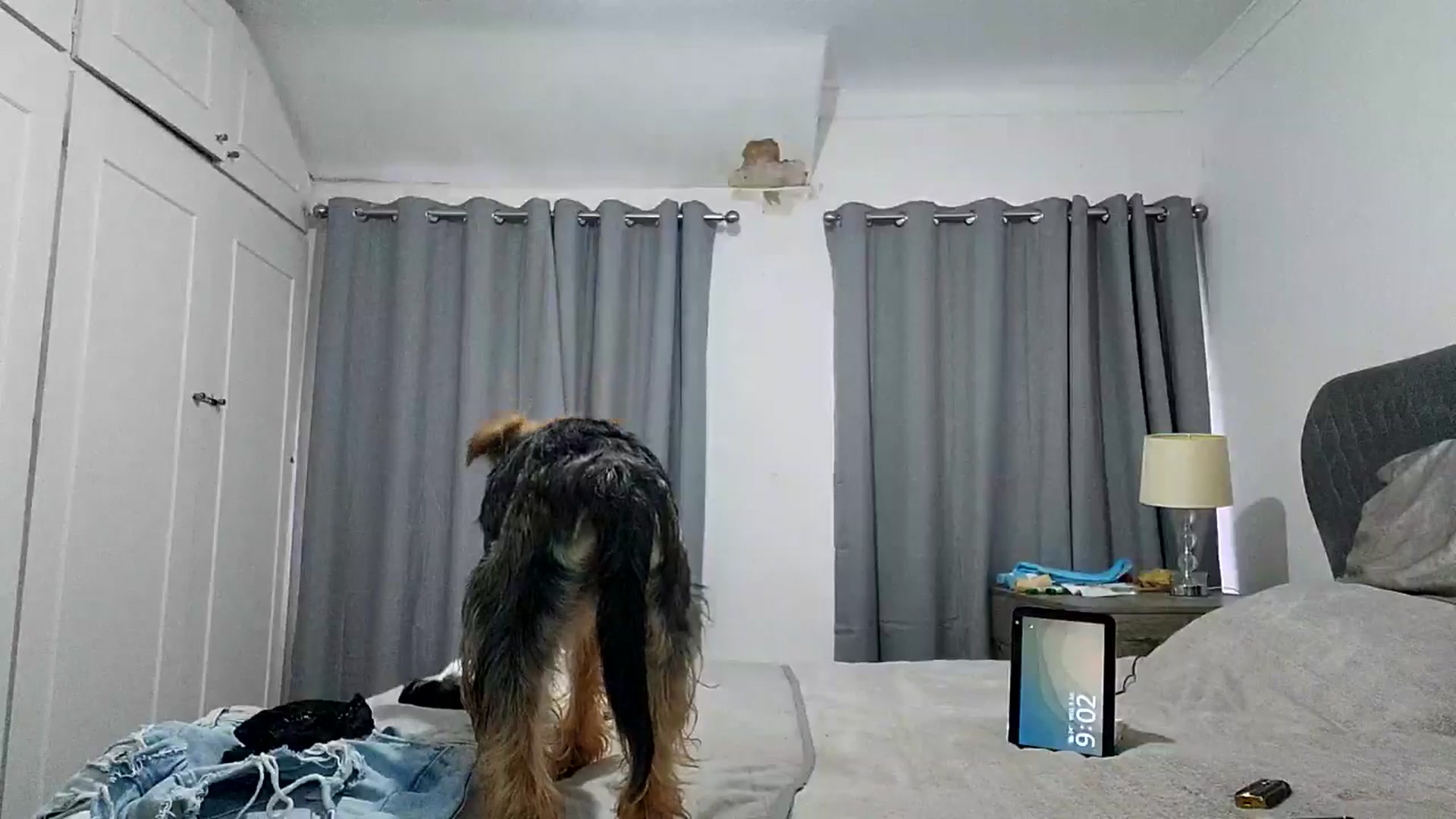 Gallery image thumbnail from RiaMartinez's myfreecams stream on, 07/09/2025, 20:08 image 2 of 20