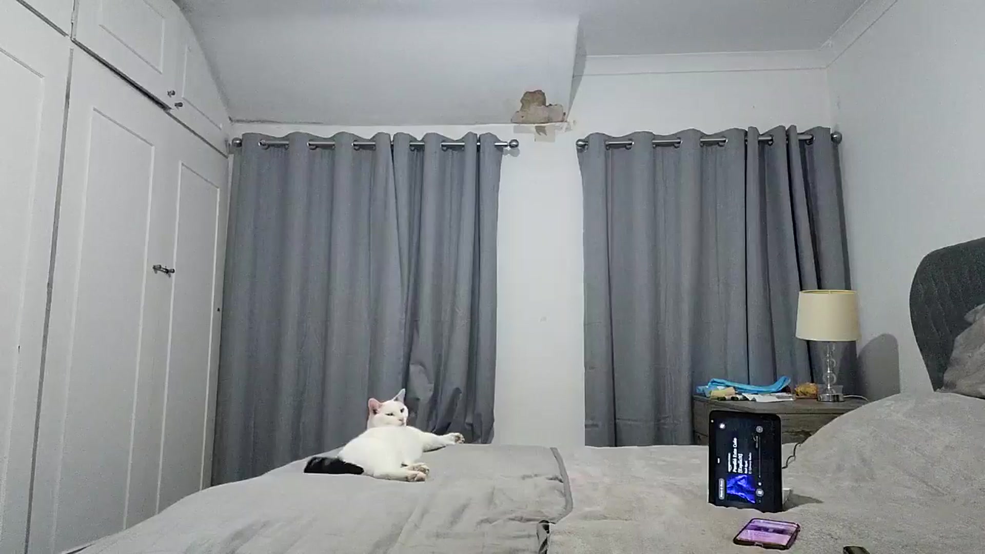 Gallery image thumbnail from RiaMartinez's myfreecams stream on, 07/09/2025, 20:59 image 16 of 20
