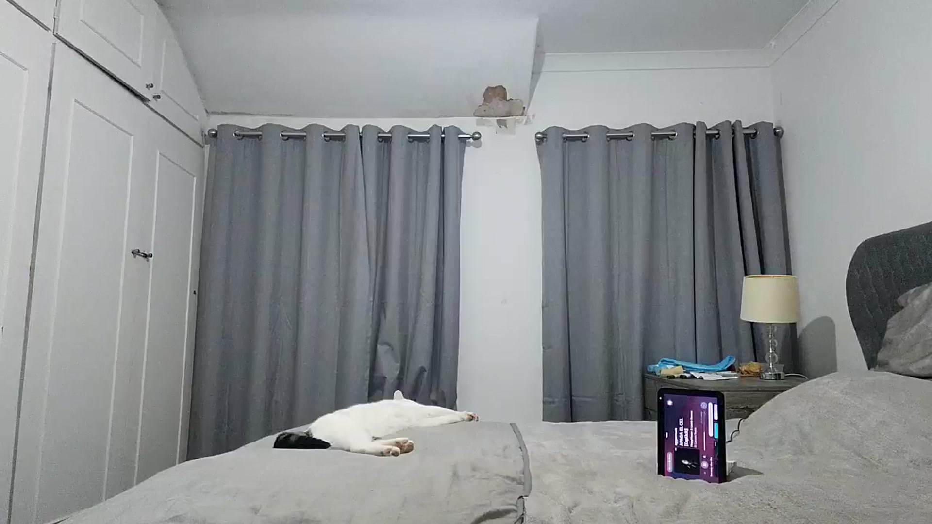 Gallery image thumbnail from RiaMartinez's myfreecams stream on, 07/09/2025, 21:10 image 11 of 20