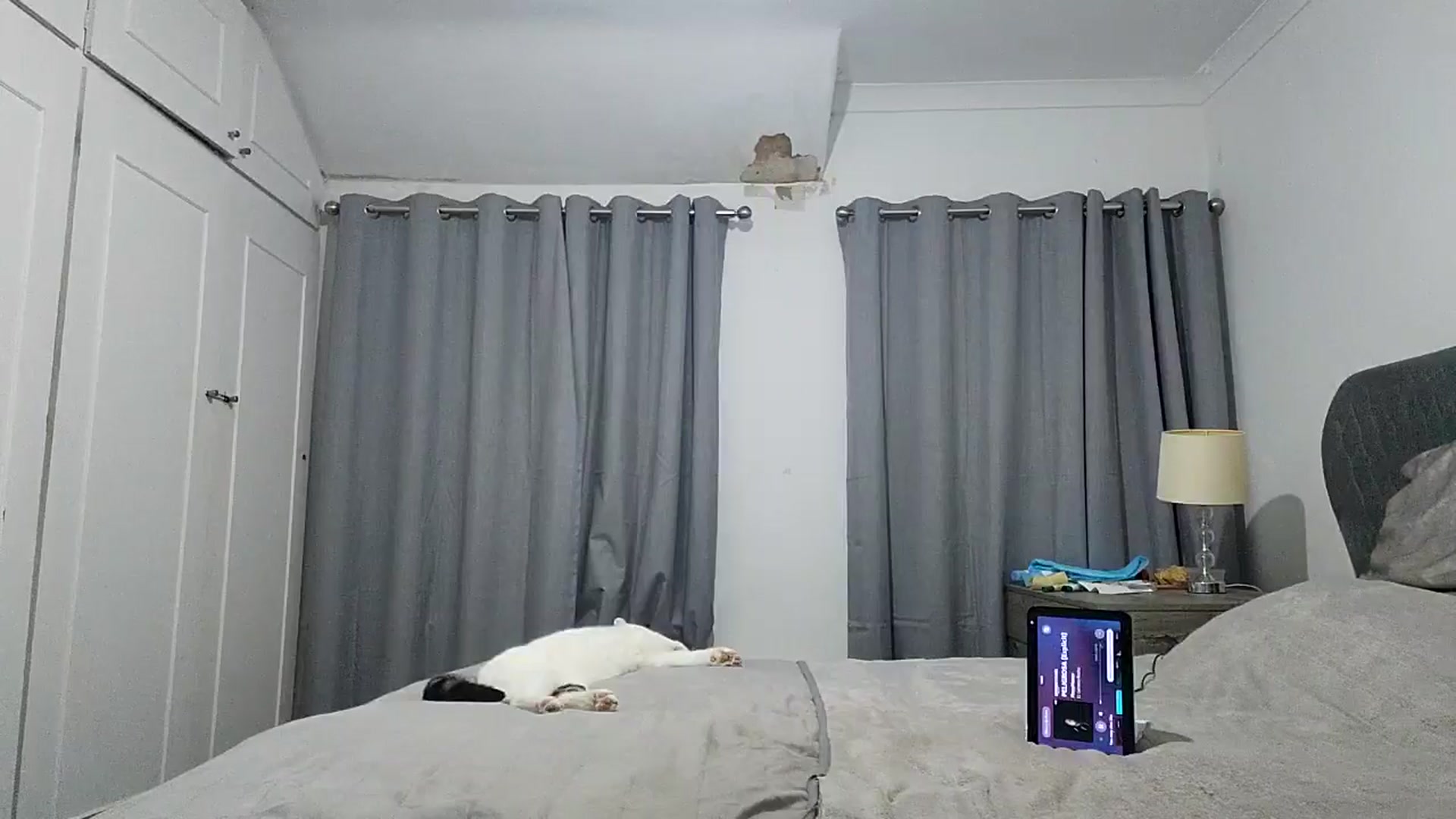Gallery image thumbnail from RiaMartinez's myfreecams stream on, 07/09/2025, 21:10 image 15 of 20