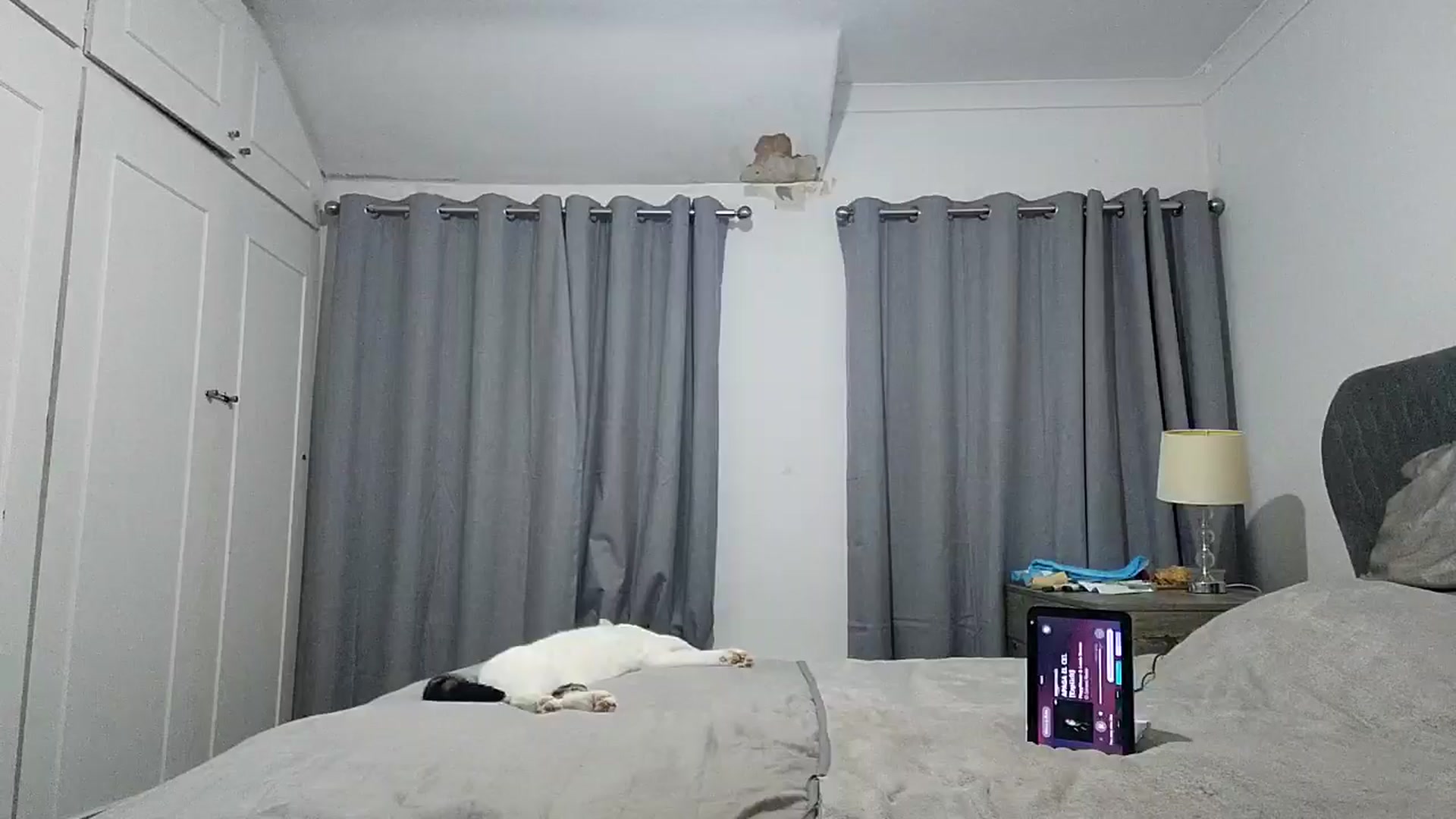 Gallery image thumbnail from RiaMartinez's myfreecams stream on, 07/09/2025, 21:10 image 14 of 20
