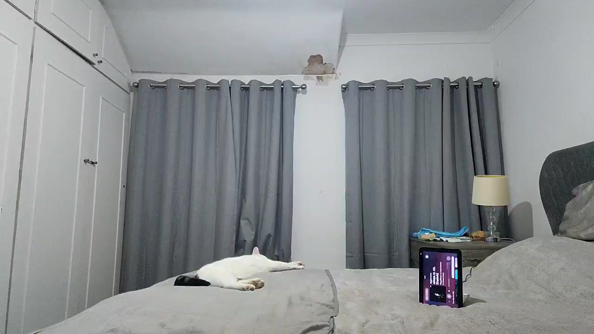 Gallery image thumbnail from RiaMartinez's myfreecams stream on, 07/09/2025, 21:10 image 10 of 20