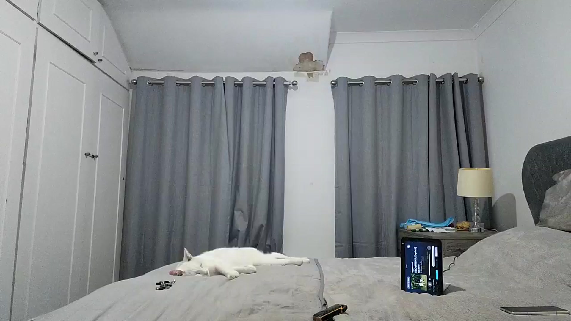 Gallery image thumbnail from RiaMartinez's myfreecams stream on, 07/10/2025, 24:04 image 12 of 20