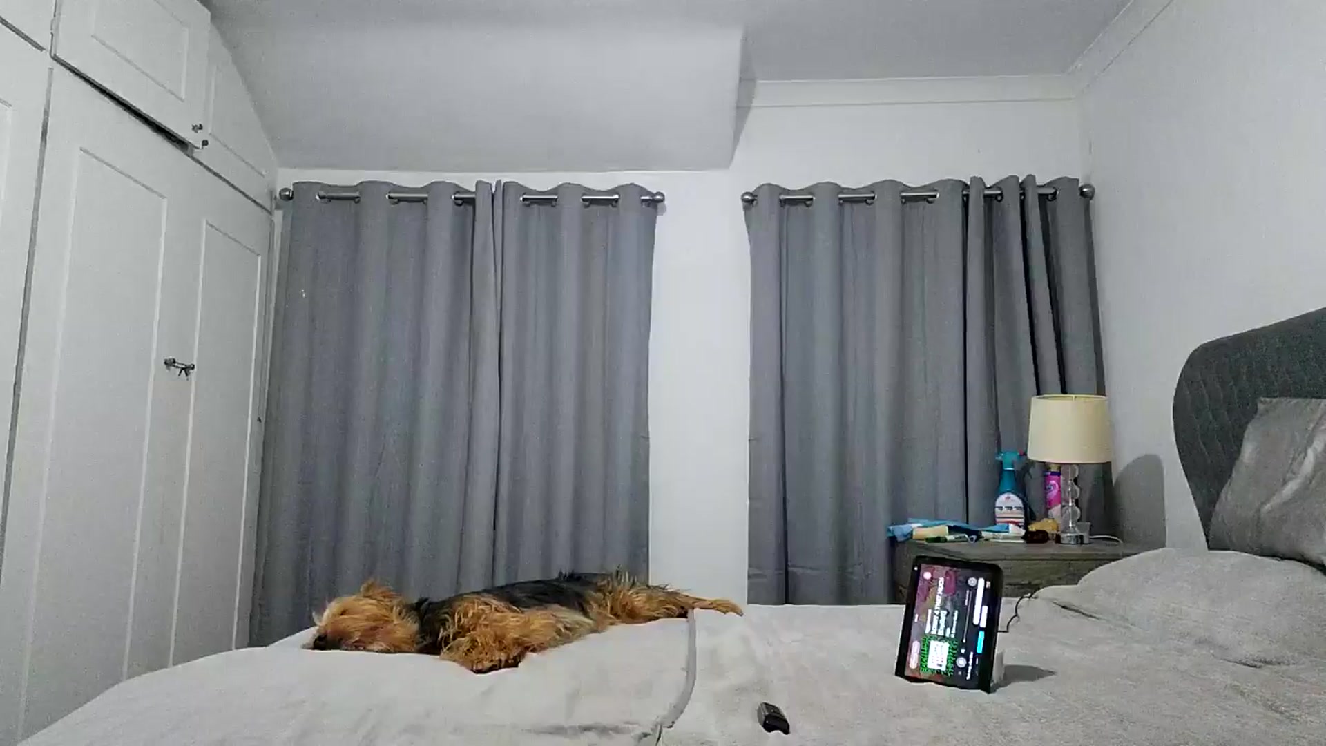 Gallery image thumbnail from RiaMartinez's myfreecams stream on, 07/19/2025, 23:41 image 2 of 20