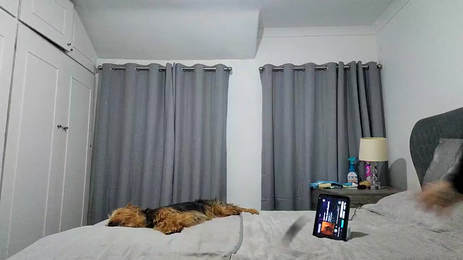Gallery image thumbnail from RiaMartinez's myfreecams stream on, 07/19/2025, 23:41 image 1 of 20