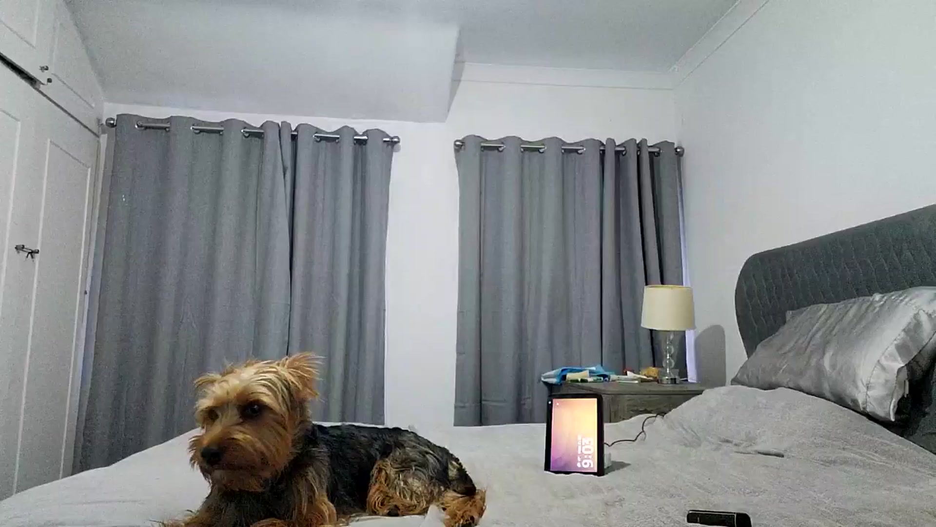 Gallery image thumbnail from RiaMartinez's myfreecams stream on, 07/22/2025, 24:24 image 1 of 20
