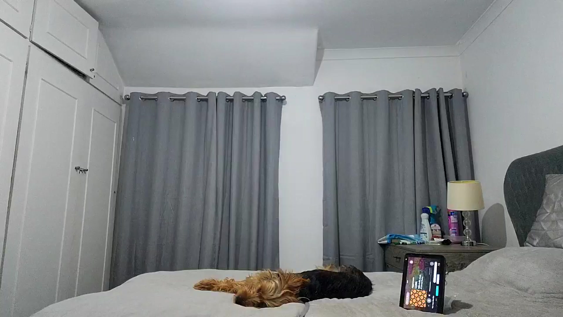 Gallery image thumbnail from RiaMartinez's myfreecams stream on, 07/26/2025, 22:51 image 1 of 20