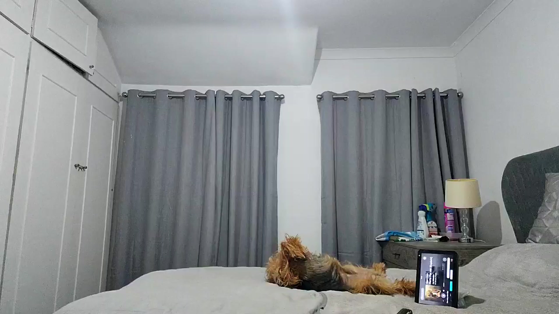 Gallery image thumbnail from RiaMartinez's myfreecams stream on, 07/26/2025, 22:51 image 17 of 20