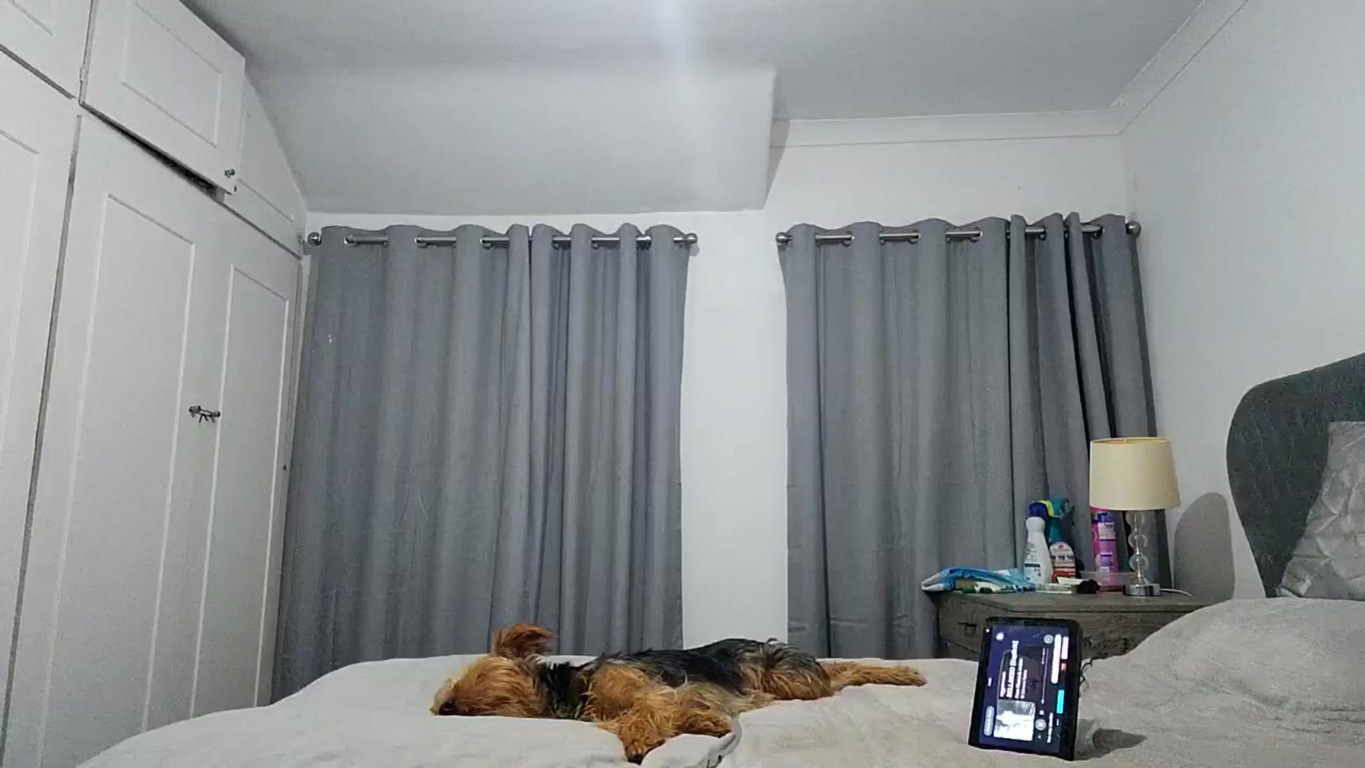 Gallery image thumbnail from RiaMartinez's myfreecams stream on, 07/26/2025, 22:51 image 14 of 20