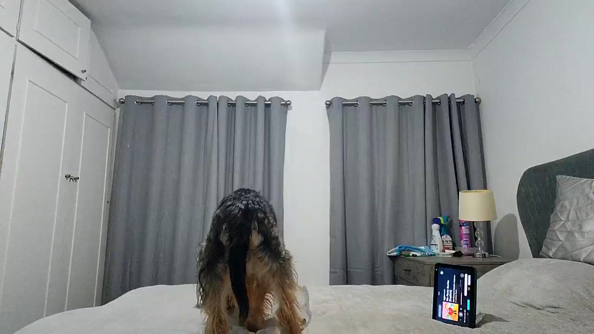 Gallery image thumbnail from RiaMartinez's myfreecams stream on, 07/26/2025, 23:33 image 20 of 20