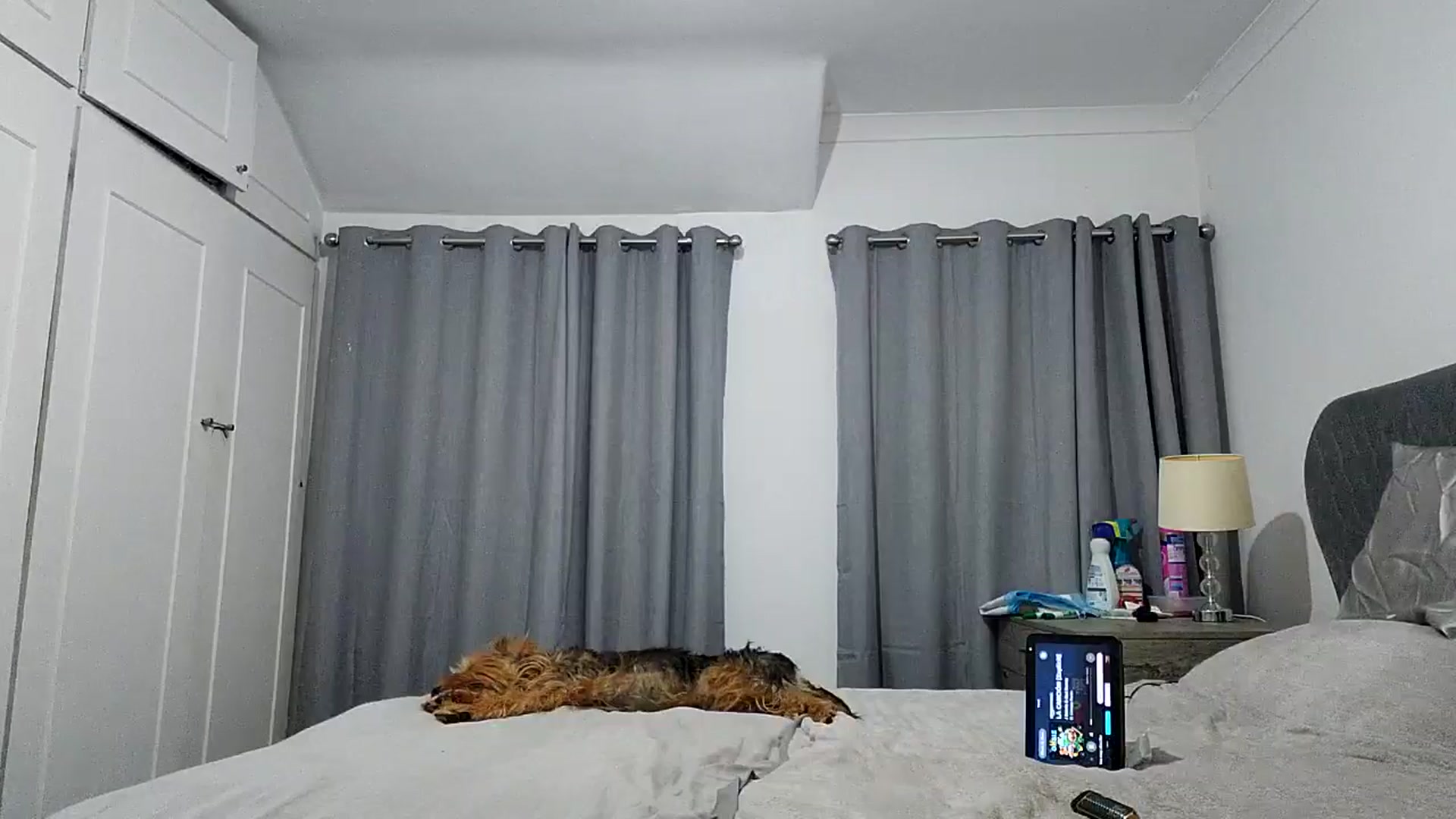 Gallery image thumbnail from RiaMartinez's myfreecams stream on, 07/28/2025, 23:39 image 10 of 20