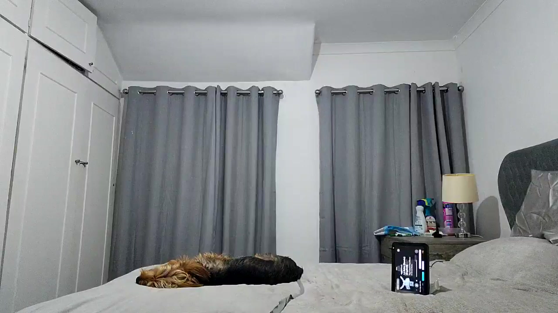 Gallery image thumbnail from RiaMartinez's myfreecams stream on, 07/28/2025, 23:39 image 8 of 20