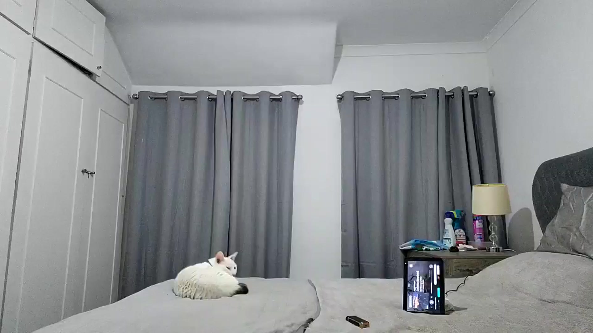 Gallery image thumbnail from RiaMartinez's myfreecams stream on, 07/29/2025, 22:38 image 8 of 20