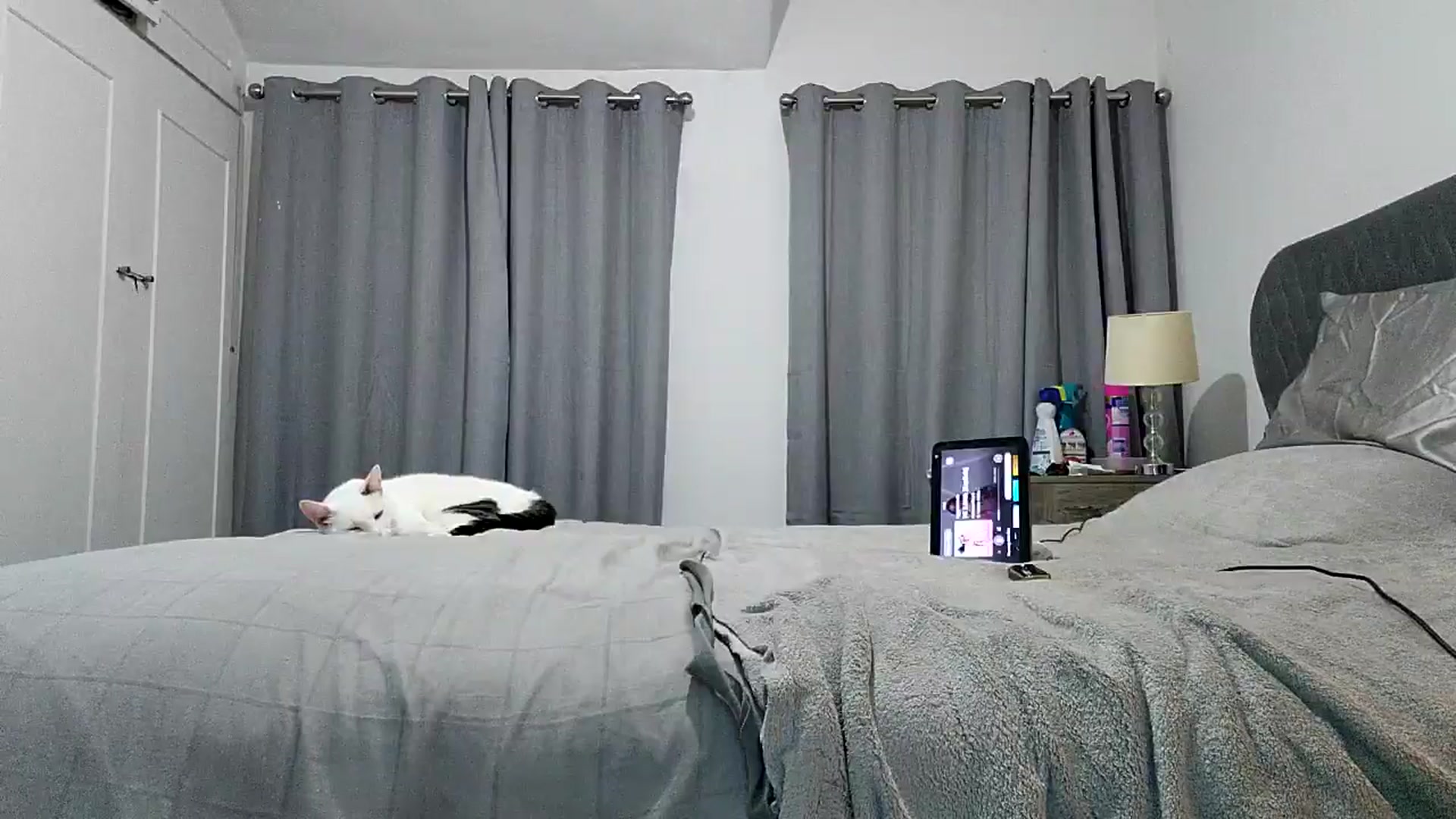 Gallery image thumbnail from RiaMartinez's myfreecams stream on, 07/29/2025, 22:38 image 15 of 20