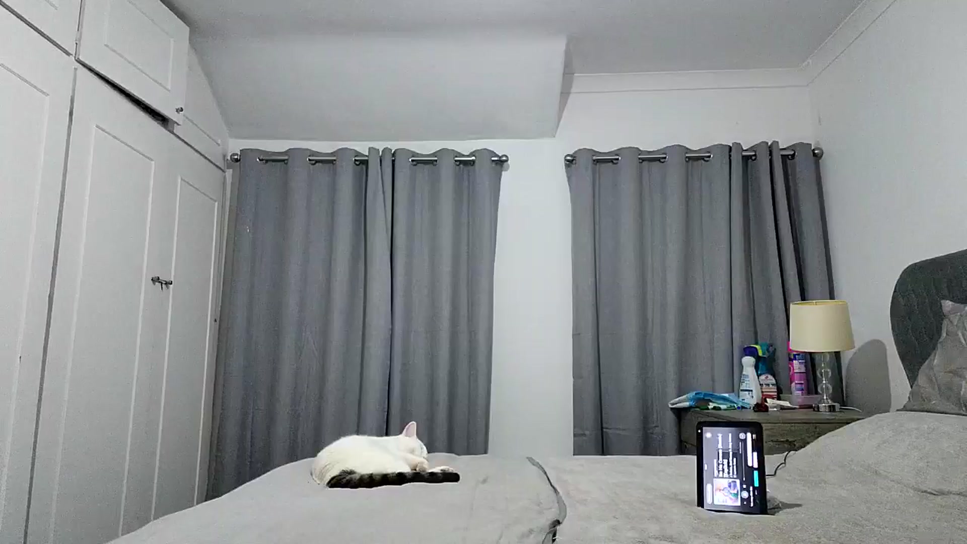 Gallery image thumbnail from RiaMartinez's myfreecams stream on, 07/29/2025, 22:38 image 10 of 20
