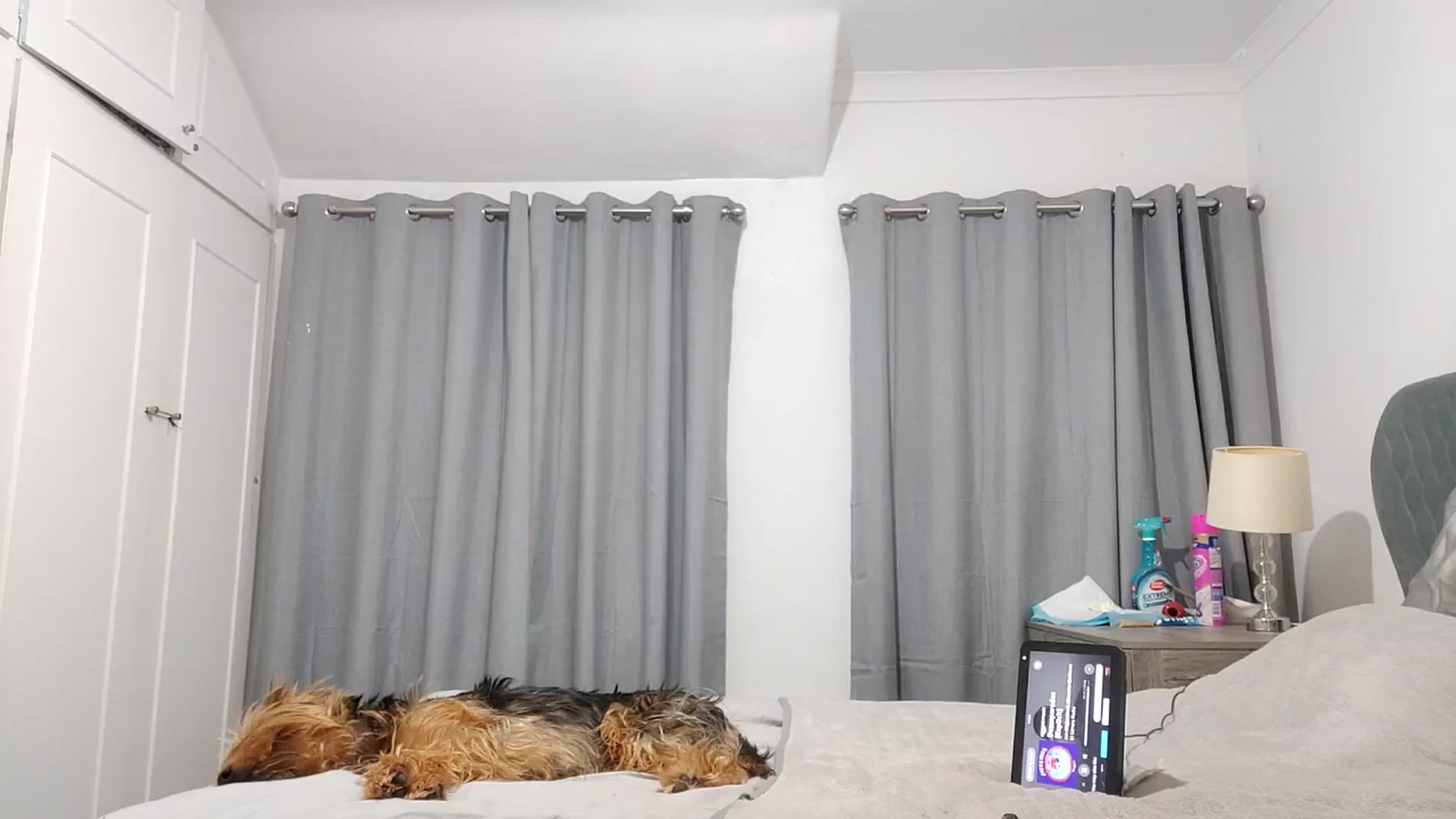 Gallery image thumbnail from RiaMartinez's myfreecams stream on, 09/07/2025, 01:05 image 8 of 20