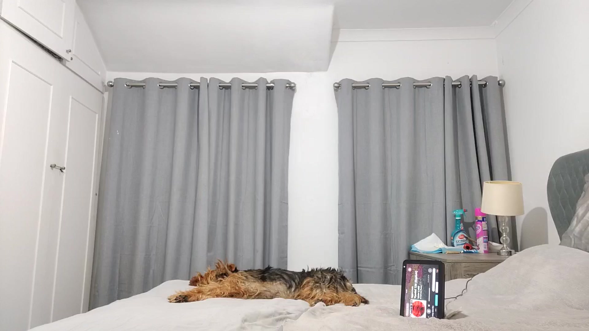 Gallery image thumbnail from RiaMartinez's myfreecams stream on, 09/07/2025, 01:05 image 12 of 20
