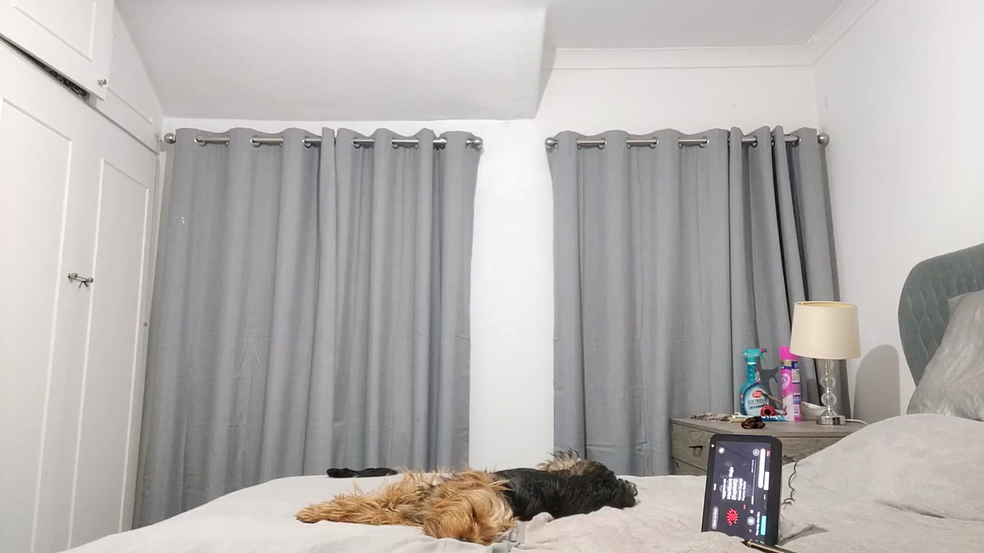 Gallery image thumbnail from RiaMartinez's myfreecams stream on, 09/09/2025, 24:14 image 19 of 20