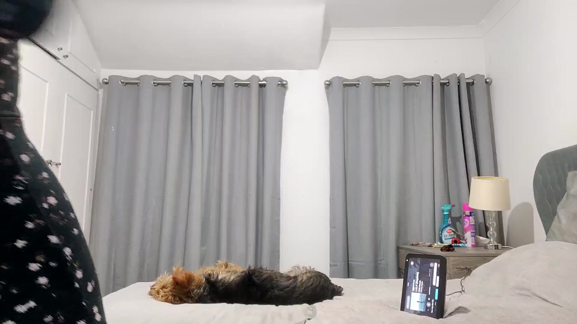 Gallery image thumbnail from RiaMartinez's myfreecams stream on, 09/09/2025, 22:53 image 10 of 20