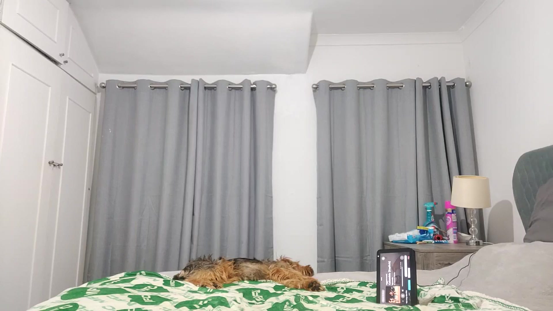 Gallery image thumbnail from RiaMartinez's myfreecams stream on, 09/13/2025, 21:29 image 20 of 20