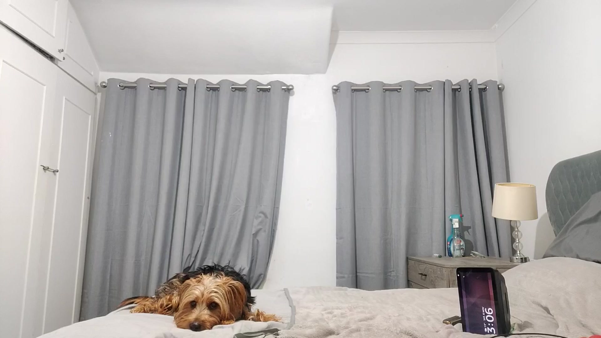 Gallery image thumbnail from RiaMartinez's myfreecams stream on, 11/08/2025, 03:18 image 14 of 20
