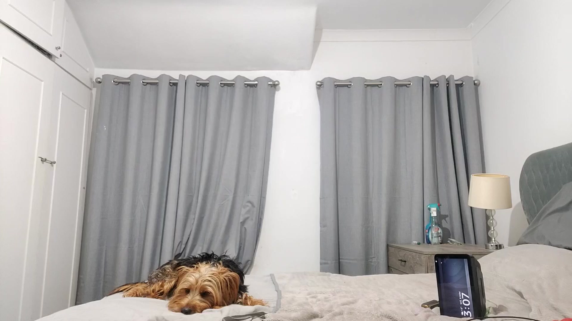 Gallery image thumbnail from RiaMartinez's myfreecams stream on, 11/08/2025, 03:18 image 15 of 20