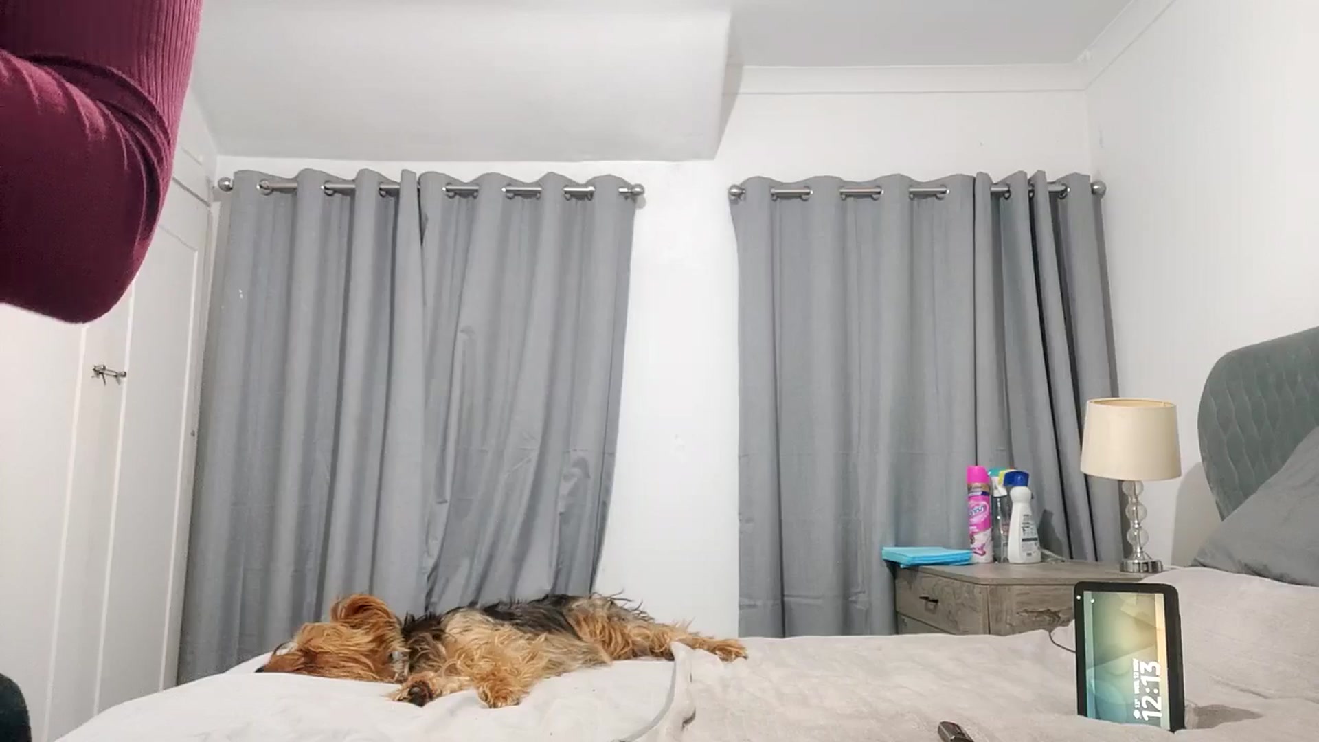 Gallery image thumbnail from RiaMartinez's myfreecams stream on, 11/12/2025, 24:28 image 11 of 20