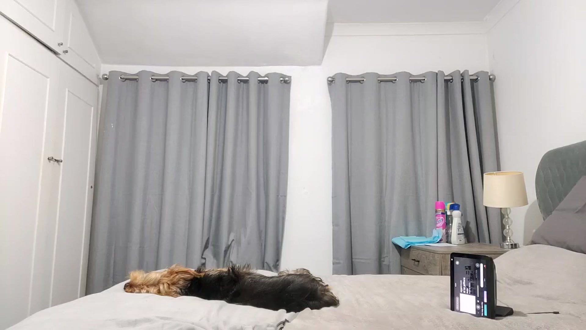 Gallery image thumbnail from RiaMartinez's myfreecams stream on, 11/19/2025, 01:10 image 15 of 20