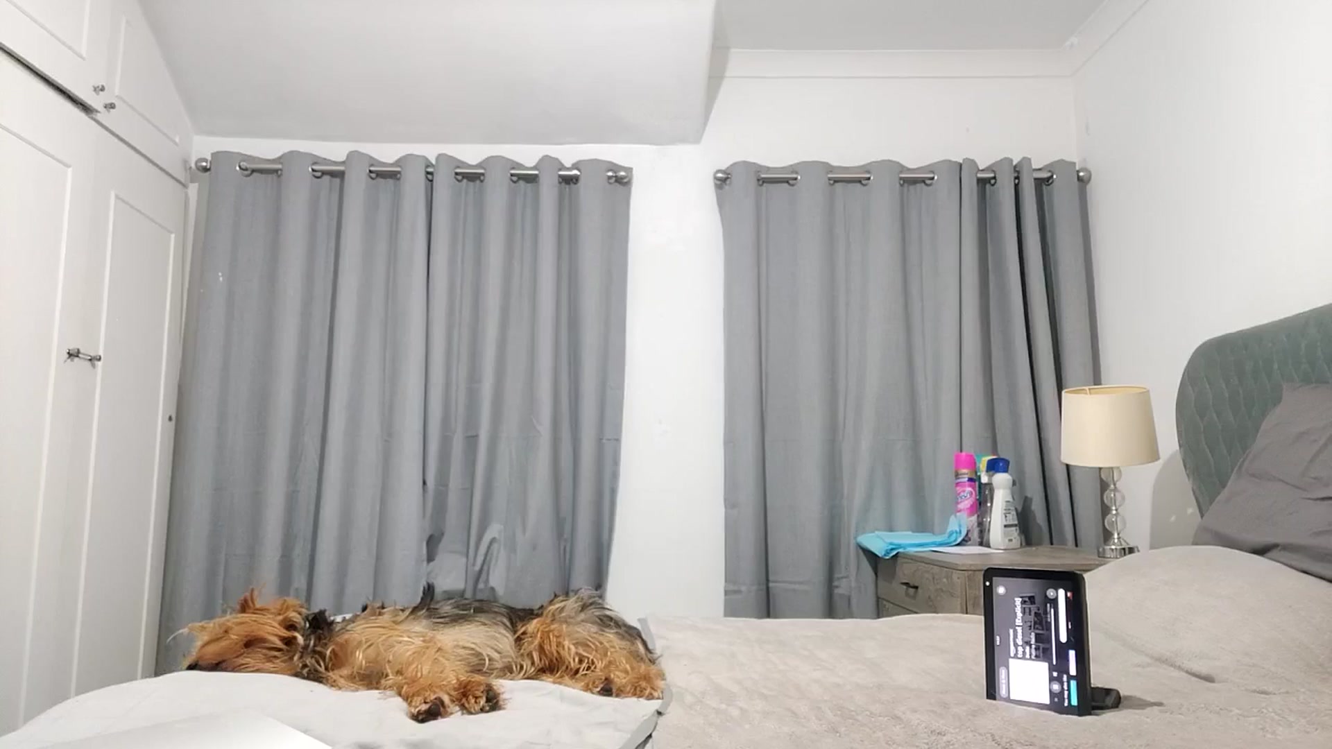 Gallery image thumbnail from RiaMartinez's myfreecams stream on, 11/20/2025, 24:00 image 18 of 20