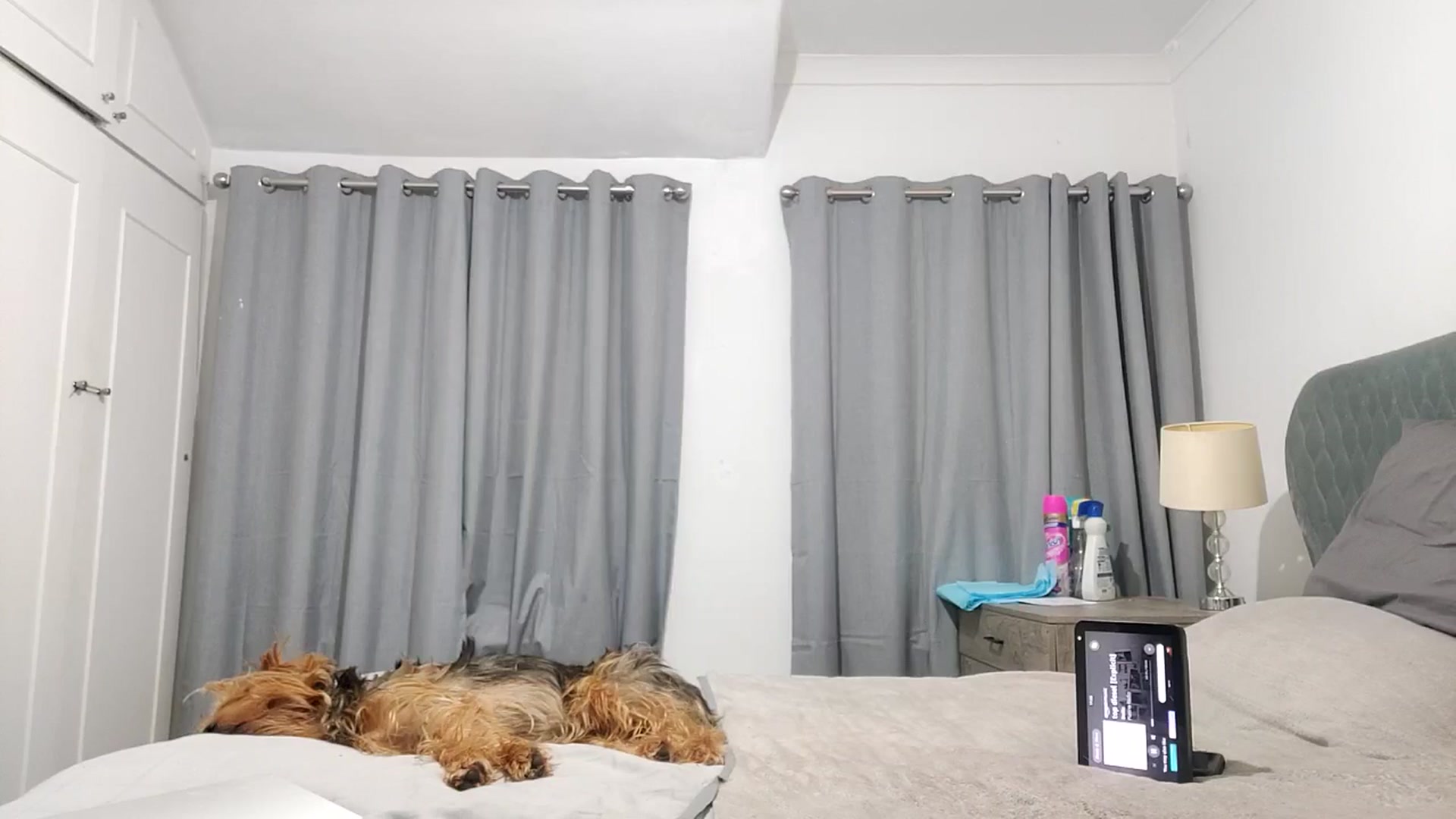 Gallery image thumbnail from RiaMartinez's myfreecams stream on, 11/20/2025, 24:00 image 15 of 20