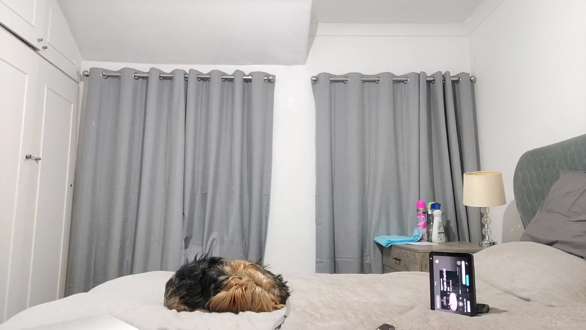 Gallery image thumbnail from RiaMartinez's myfreecams stream on, 11/20/2025, 24:34 image 11 of 20