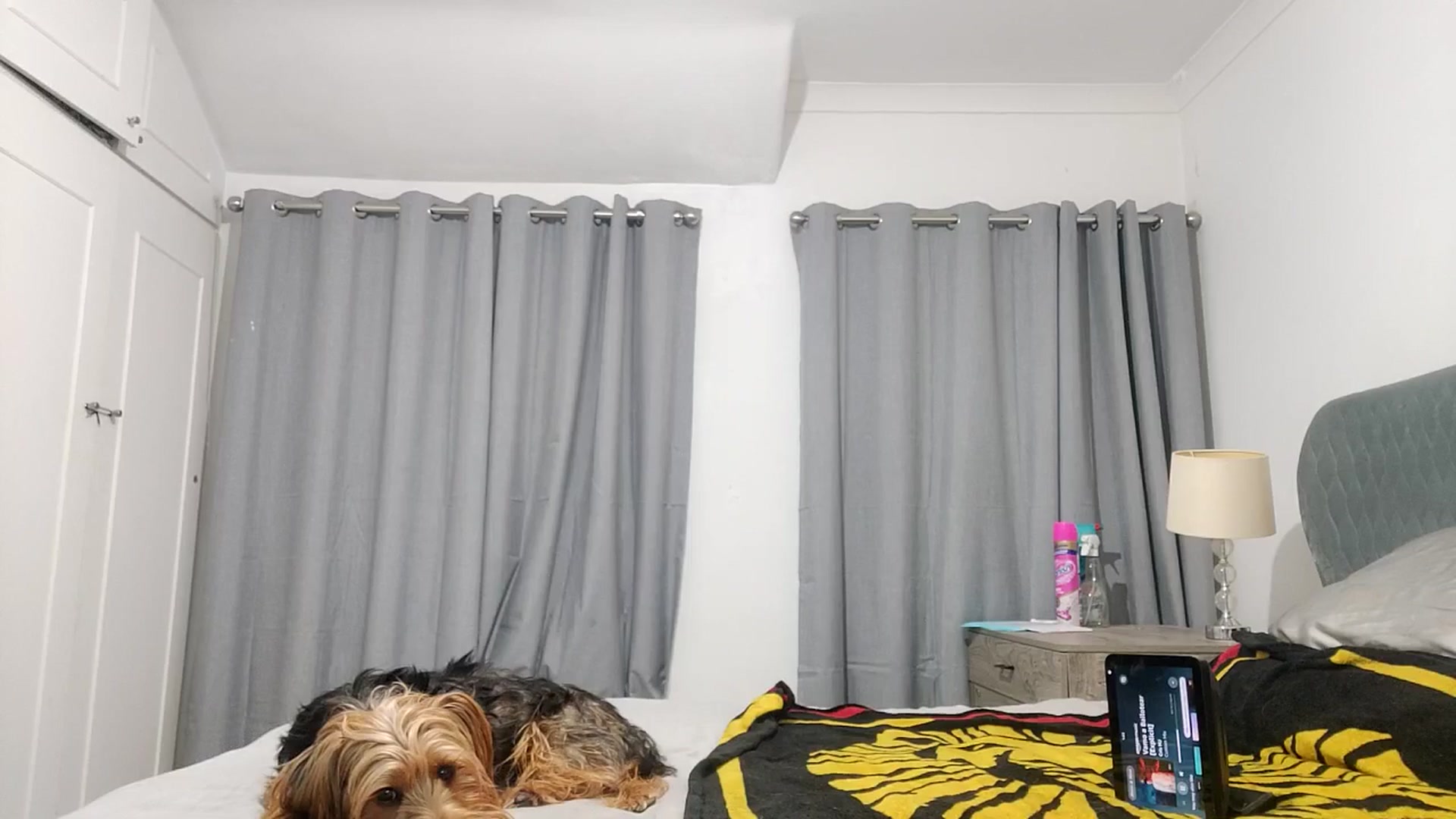Gallery image thumbnail from RiaMartinez's myfreecams stream on, 11/26/2025, 02:22 image 5 of 20