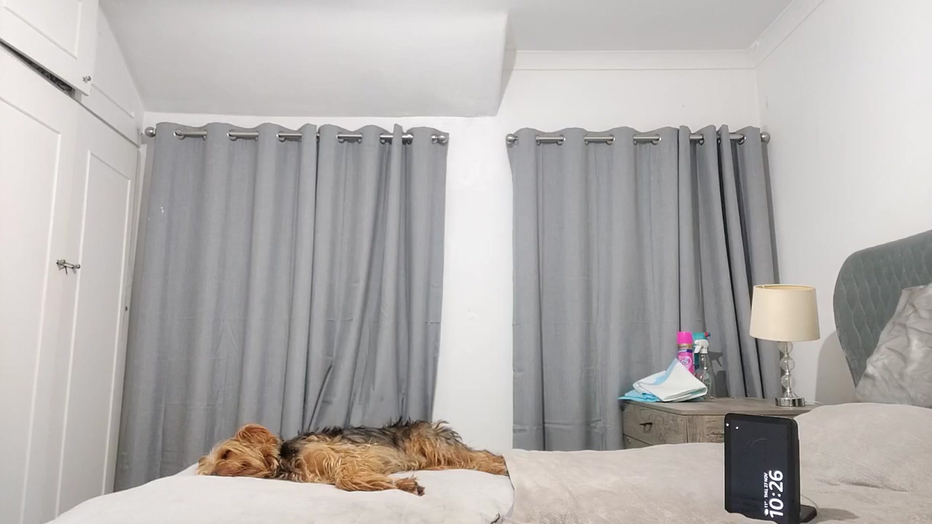 Gallery image thumbnail from RiaMartinez's myfreecams stream on, 11/27/2025, 23:02 image 13 of 20