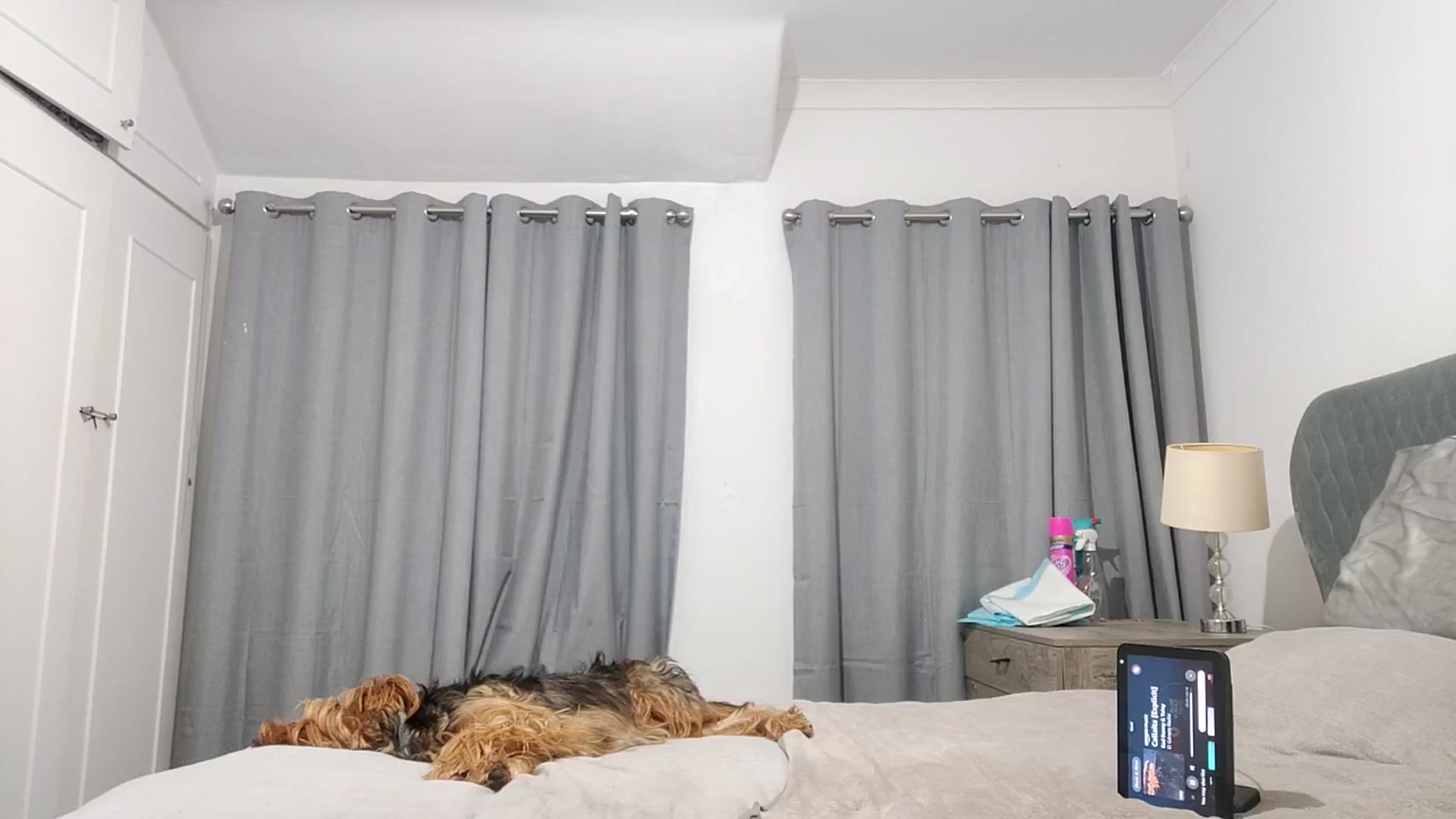 Gallery image thumbnail from RiaMartinez's myfreecams stream on, 11/27/2025, 23:02 image 18 of 20