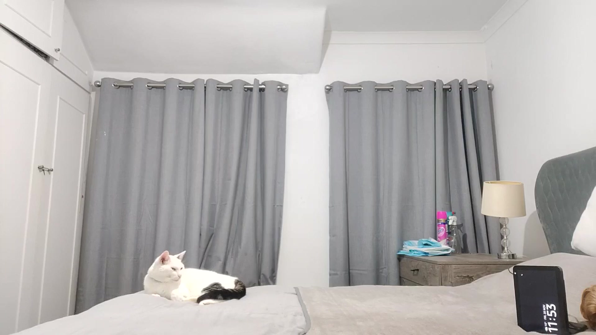Gallery image thumbnail from RiaMartinez's myfreecams stream on, 11/29/2025, 24:34 image 4 of 20