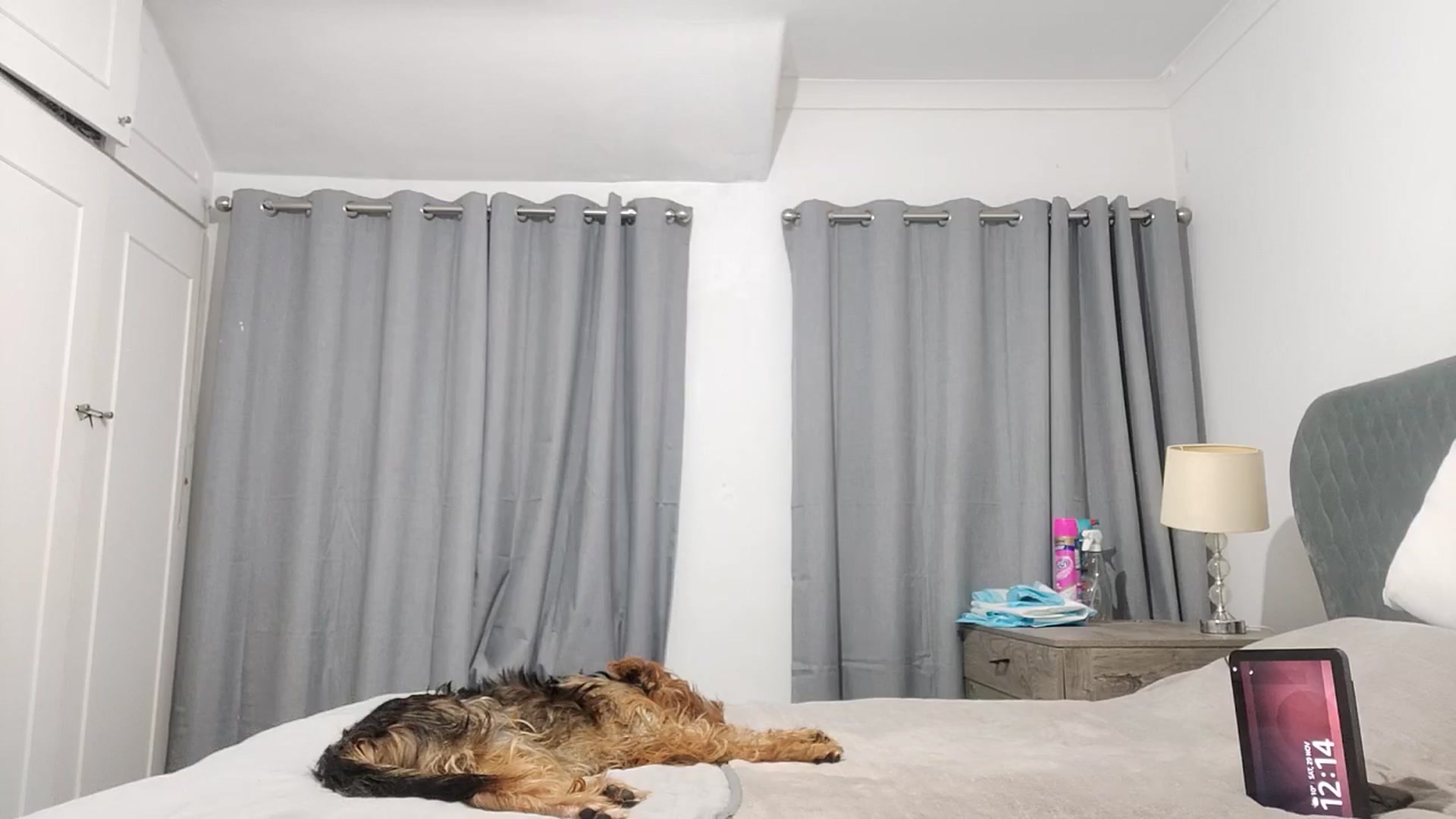 Gallery image thumbnail from RiaMartinez's myfreecams stream on, 11/29/2025, 24:34 image 13 of 20