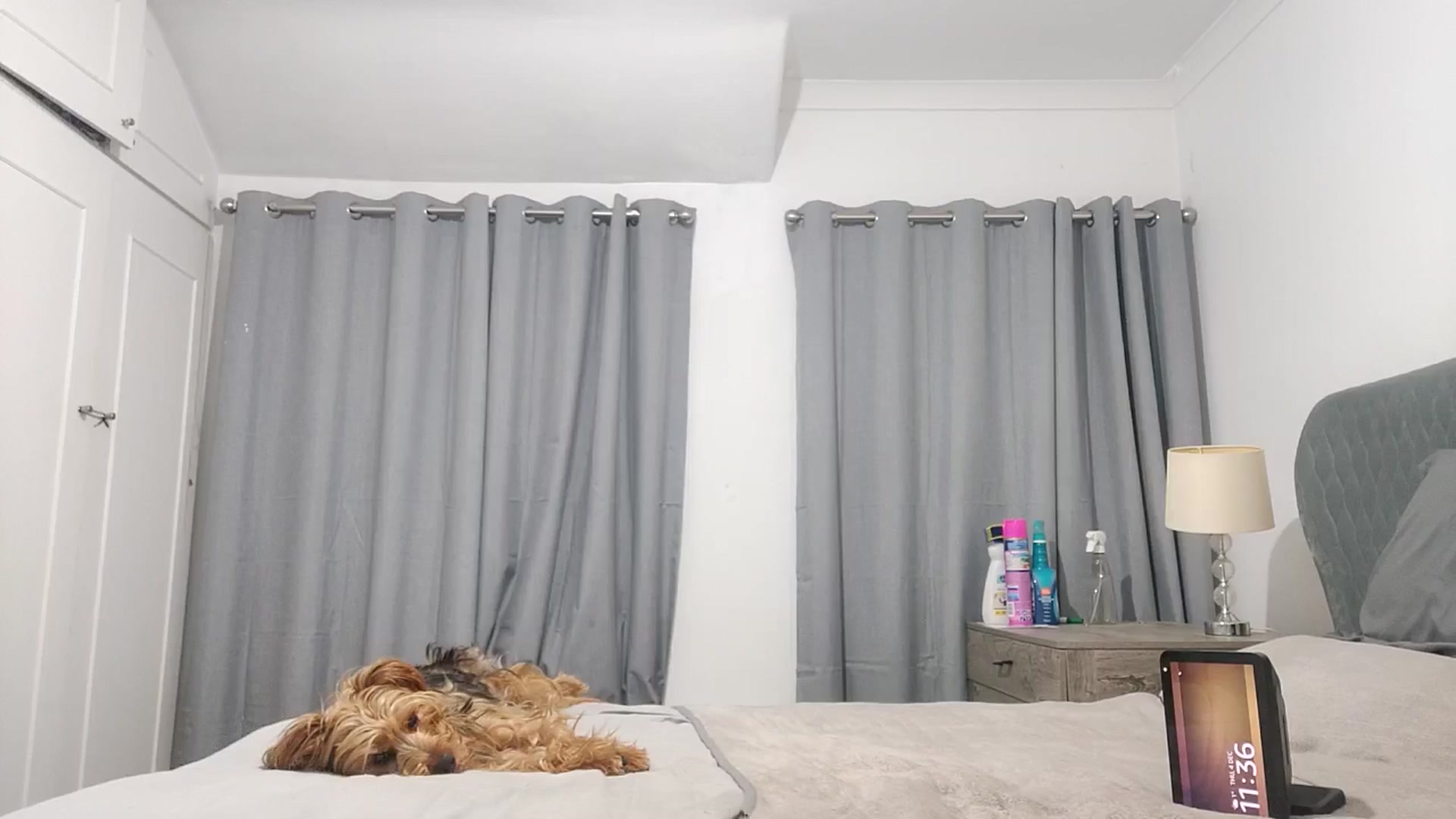 Gallery image thumbnail from RiaMartinez's myfreecams stream on, 12/05/2025, 24:01 image 11 of 20