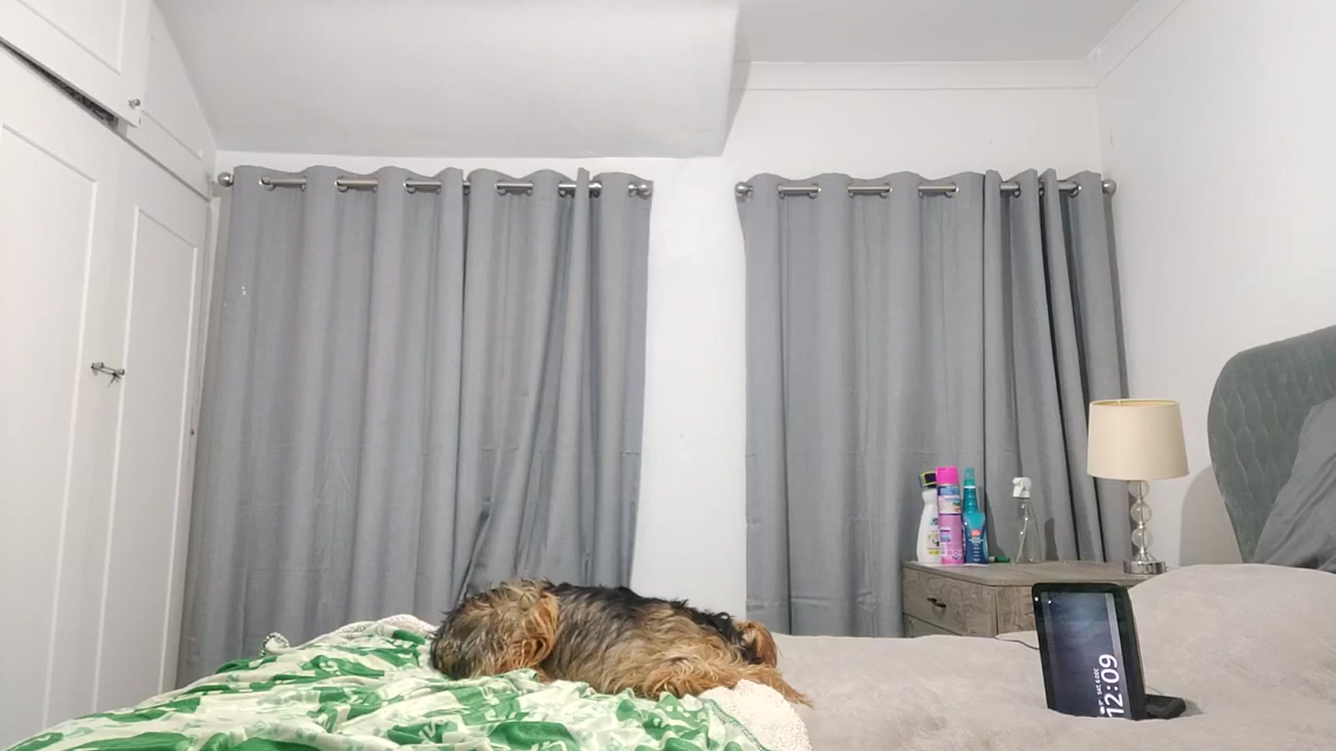 Gallery image thumbnail from RiaMartinez's myfreecams stream on, 12/06/2025, 24:27 image 8 of 20
