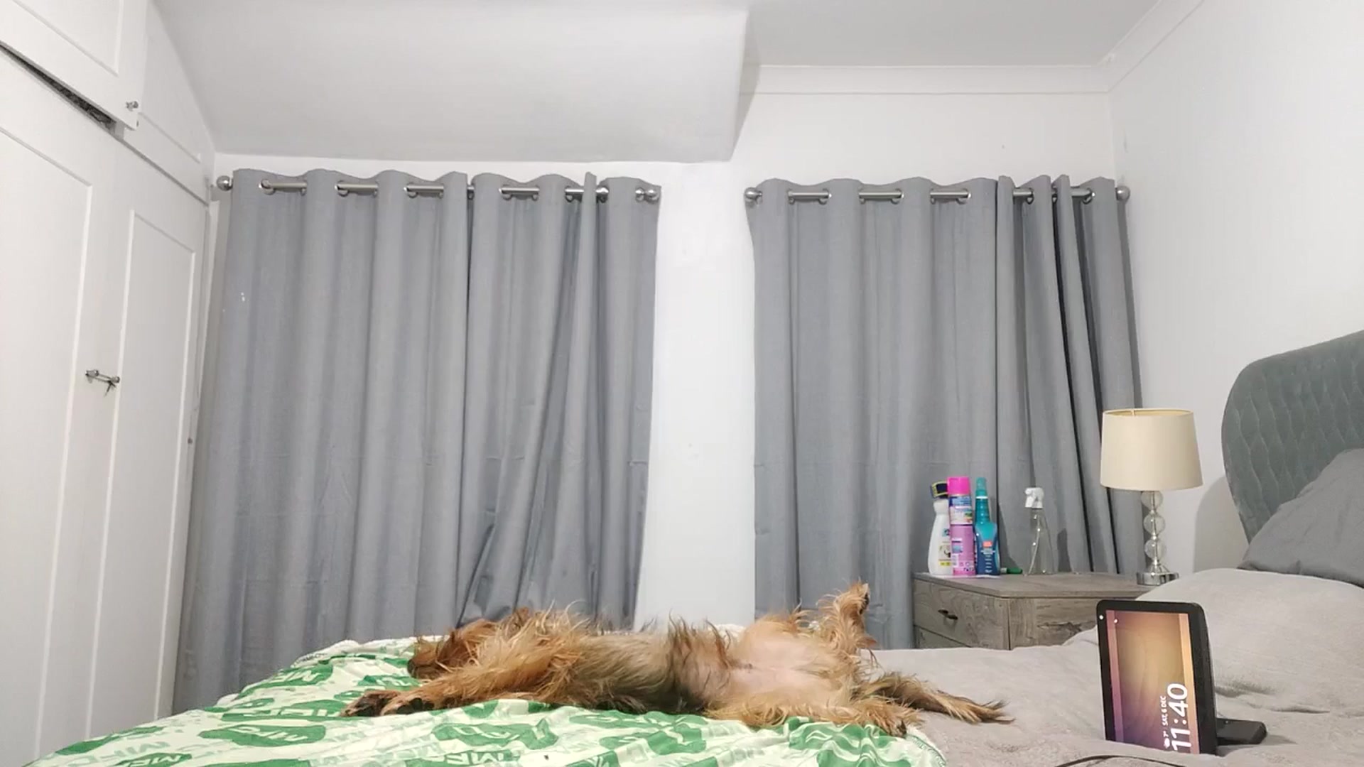 Gallery image thumbnail from RiaMartinez's myfreecams stream on, 12/07/2025, 24:01 image 12 of 20