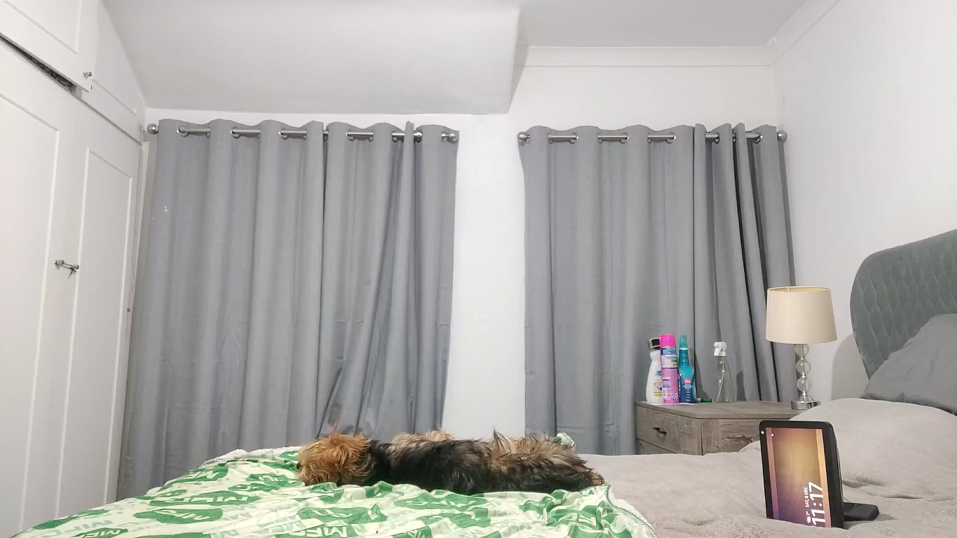 Gallery image thumbnail from RiaMartinez's myfreecams stream on, 12/07/2025, 24:01 image 1 of 20