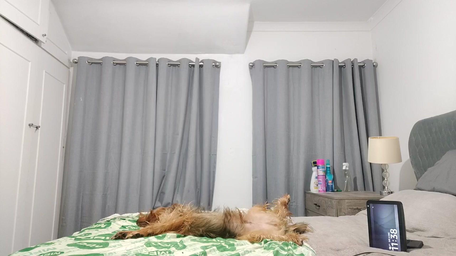 Gallery image thumbnail from RiaMartinez's myfreecams stream on, 12/07/2025, 24:01 image 11 of 20