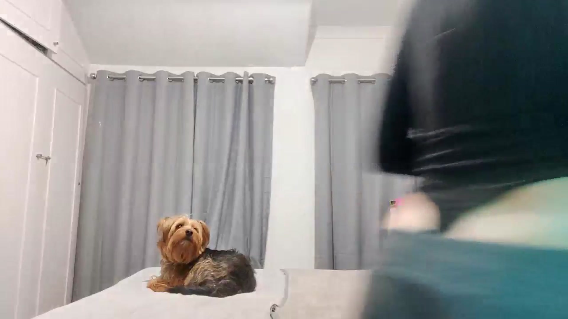 Gallery image thumbnail from RiaMartinez's myfreecams stream on, 12/10/2025, 24:02 image 7 of 20