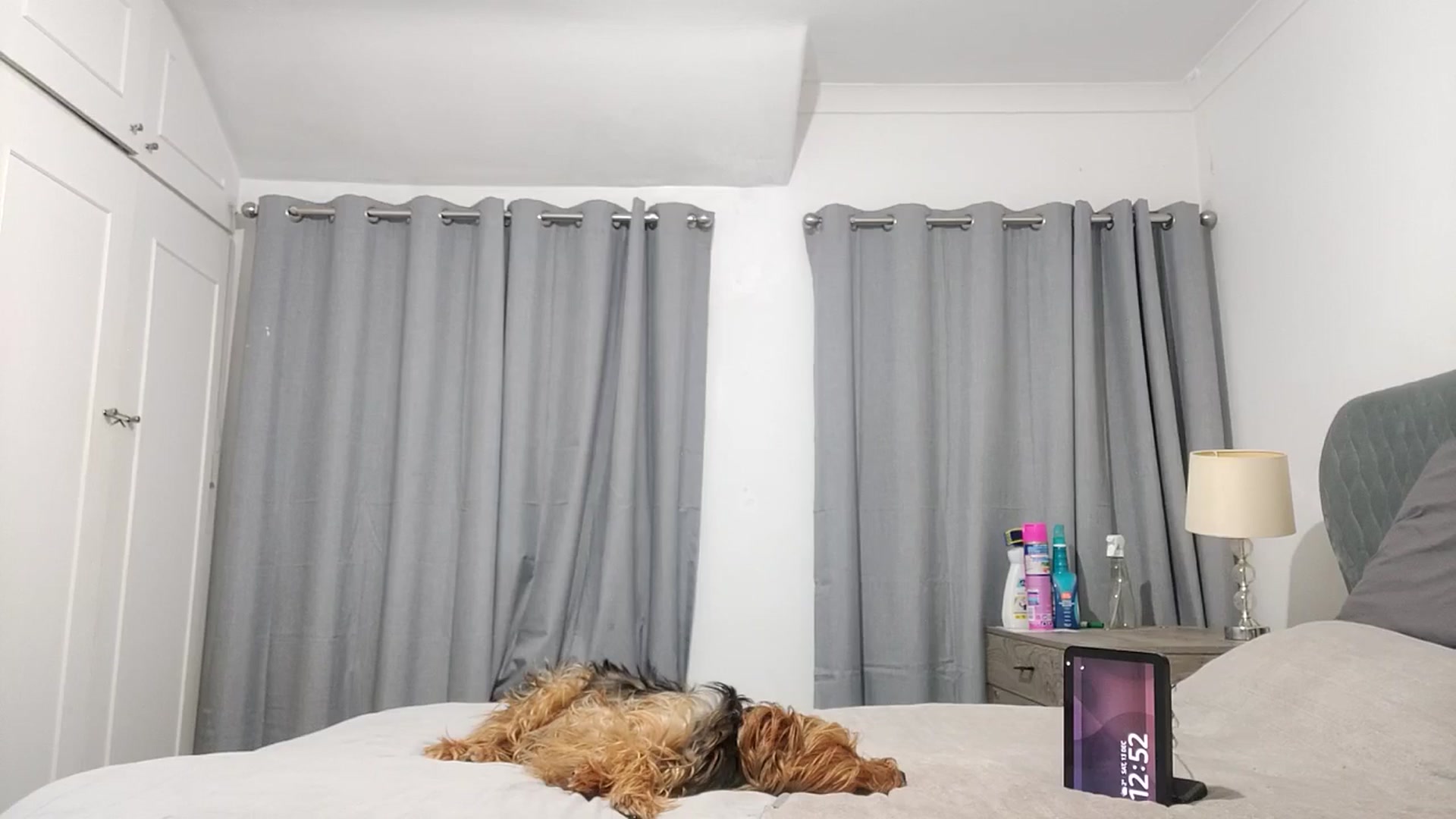 Gallery image thumbnail from RiaMartinez's myfreecams stream on, 12/13/2025, 01:08 image 17 of 20