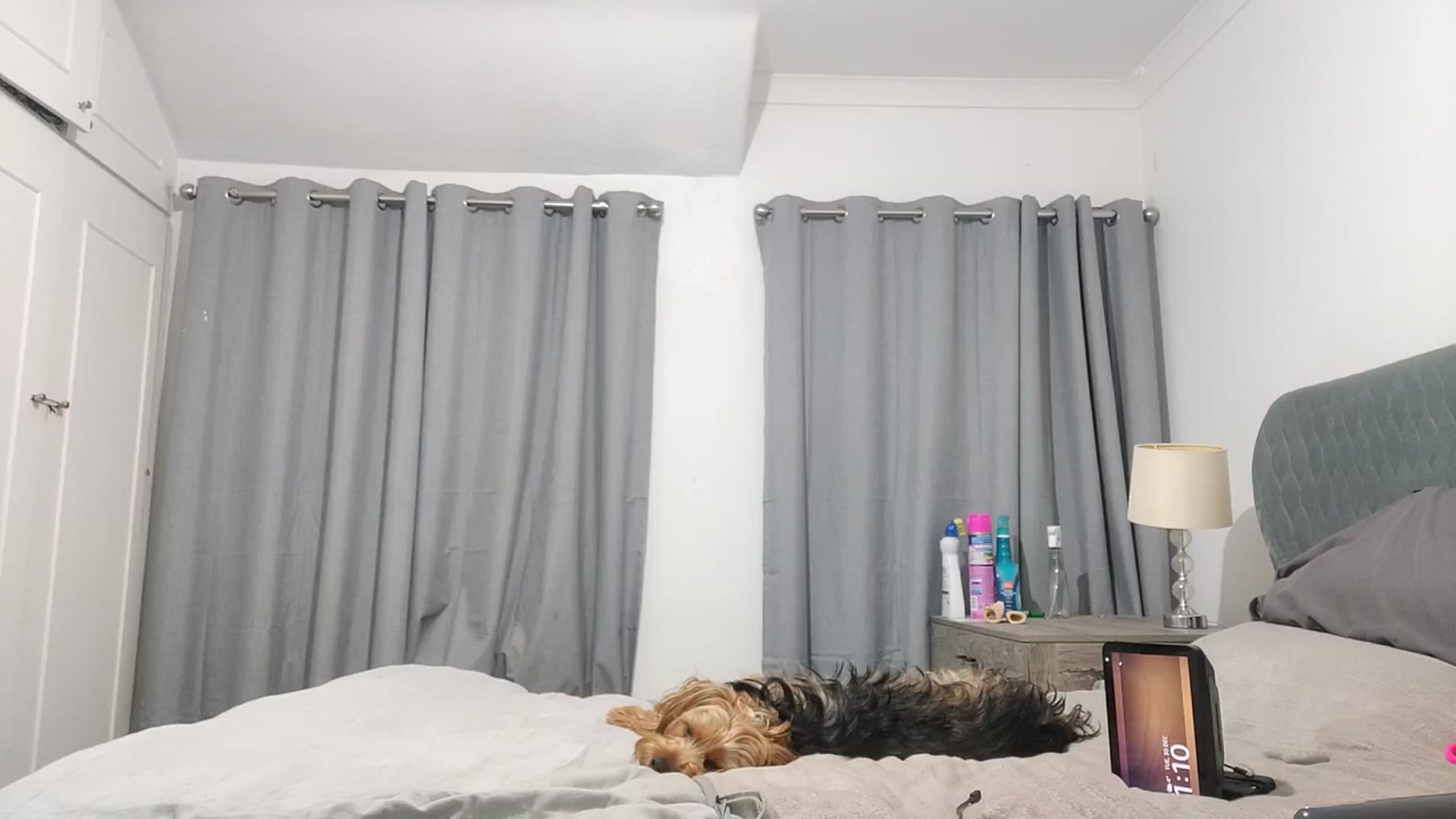 Gallery image thumbnail from RiaMartinez's myfreecams stream on, 12/30/2025, 01:51 image 18 of 20