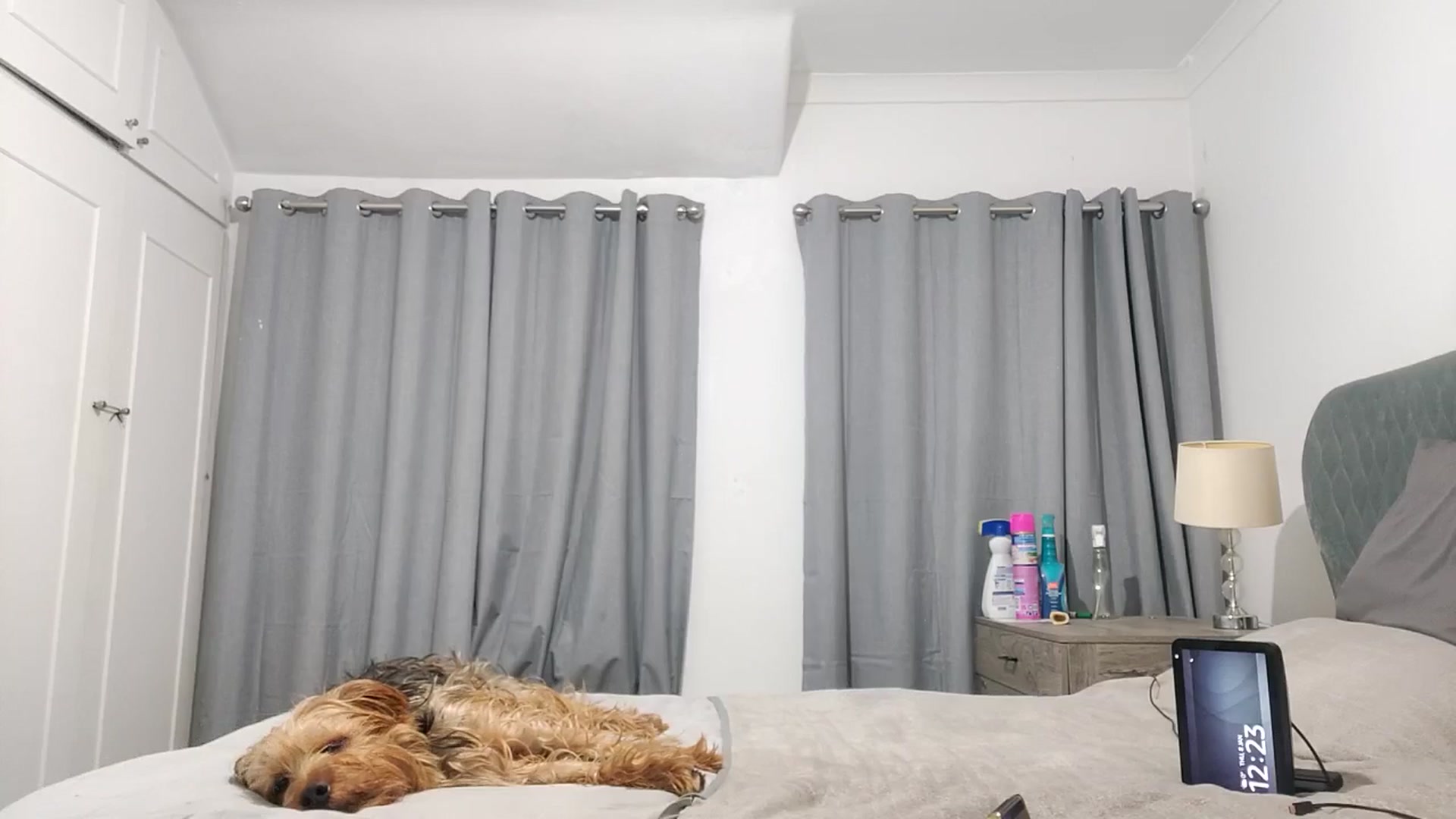 Gallery image thumbnail from RiaMartinez's myfreecams stream on, 01/08/2026, 03:19 image 2 of 20