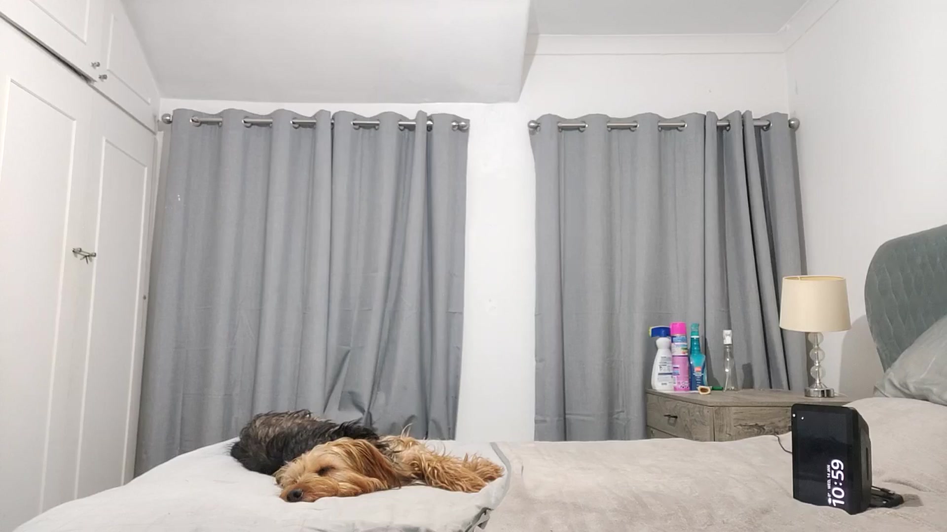 Gallery image thumbnail from RiaMartinez's myfreecams stream on, 01/15/2026, 24:03 image 5 of 20
