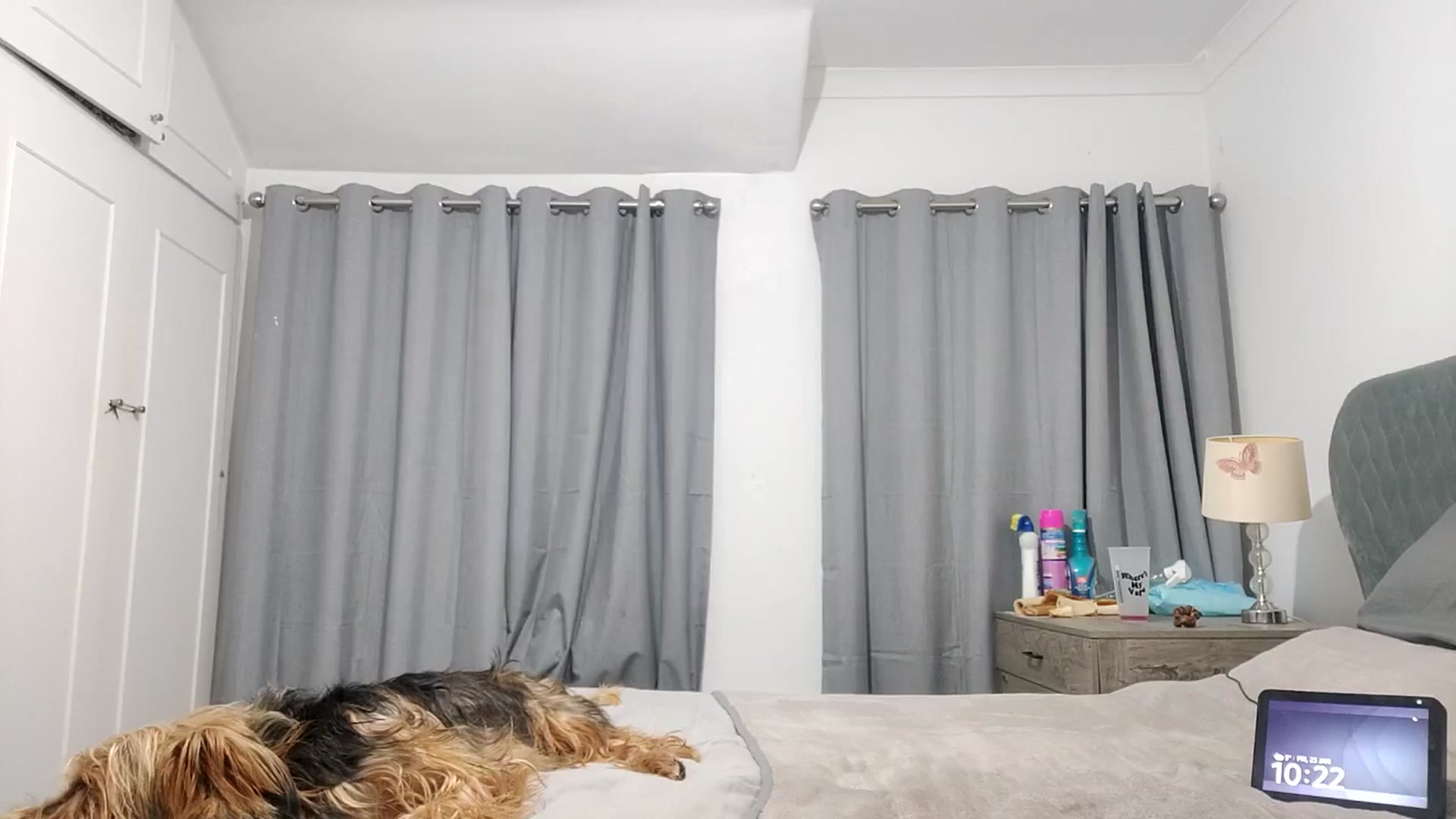 Gallery image thumbnail from RiaMartinez's myfreecams stream on, 01/23/2026, 23:10 image 11 of 20
