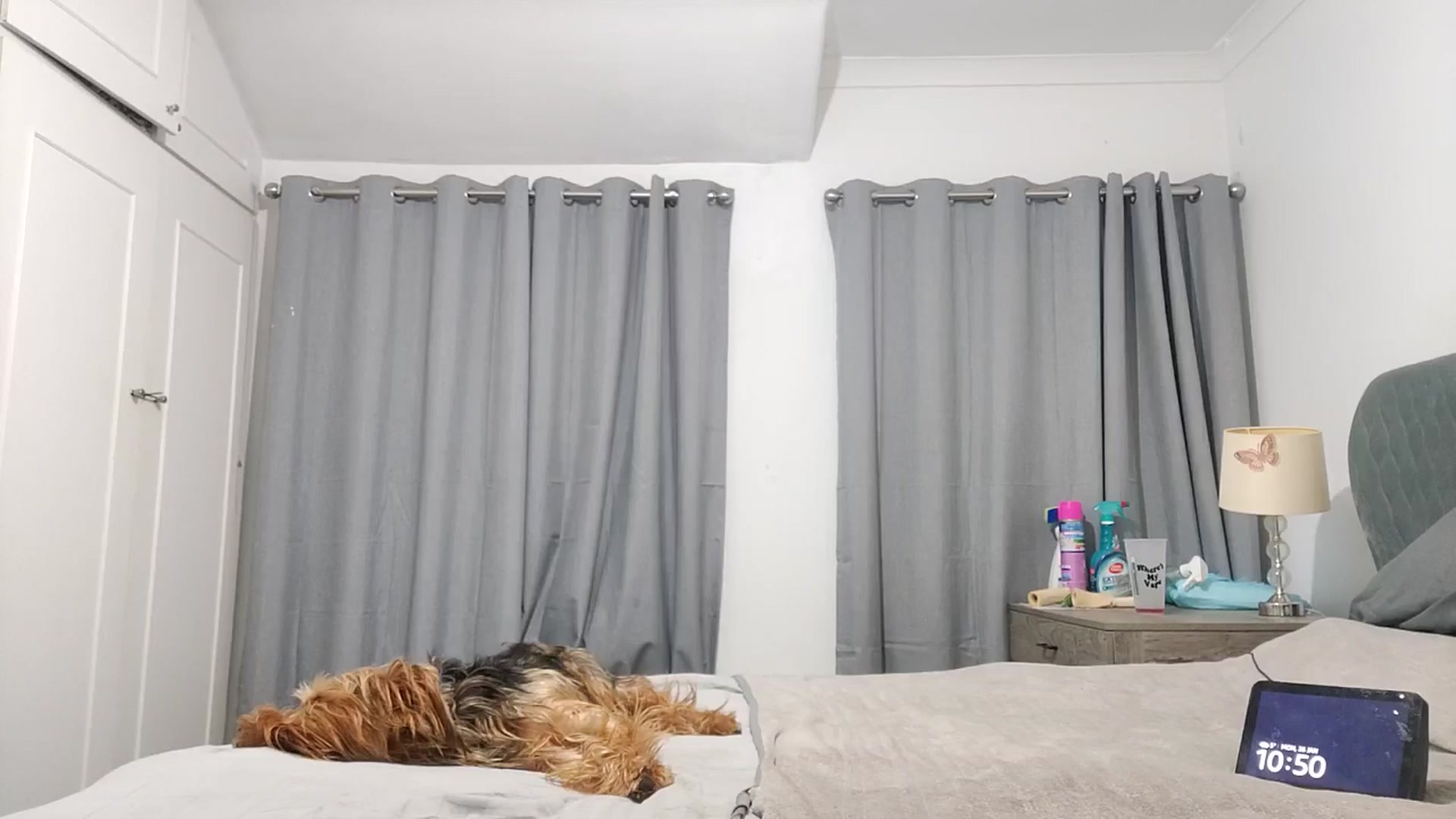 Gallery image thumbnail from RiaMartinez's myfreecams stream on, 01/26/2026, 23:33 image 14 of 20